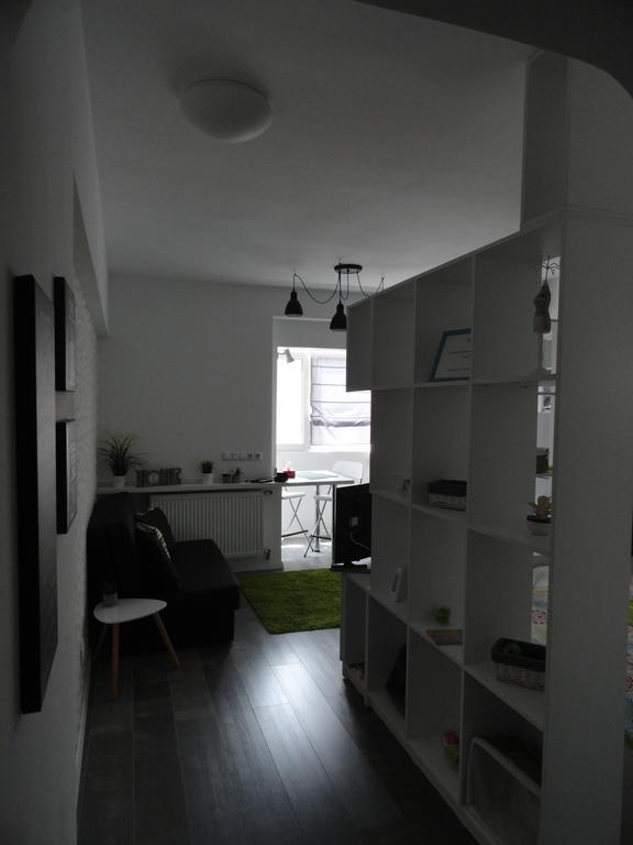 Cozy Central Studio 布加勒斯特 外观 照片
