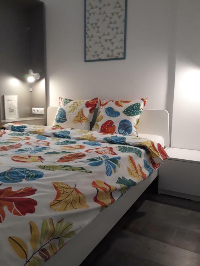 Cozy Central Studio 布加勒斯特 外观 照片